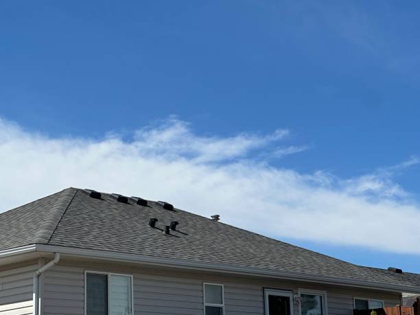 Best Chimney Flashing Repair  in Jim Thorpe, PA